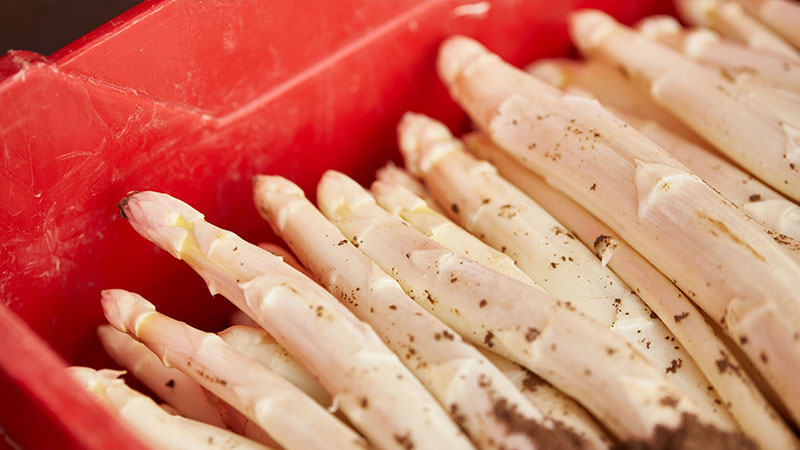 _hoffreunde_Butzbach_hofladen_spargel